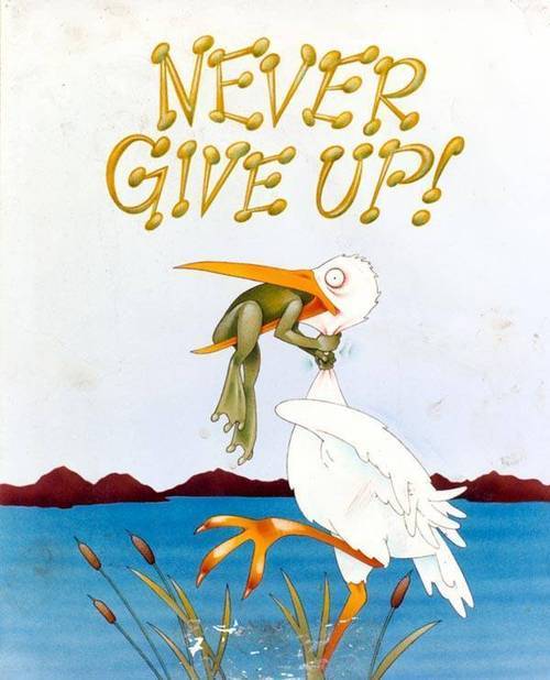 never give up image